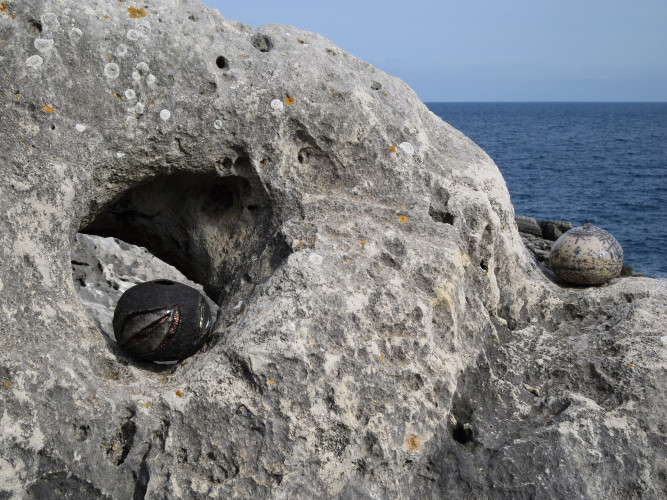 Whispering Globes from the Salento Series