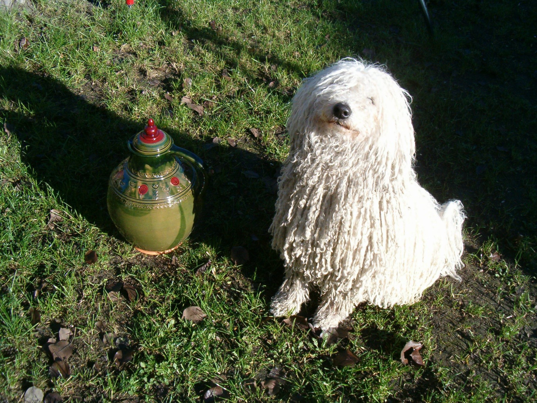 Water Carrier with Traditional Floral Pattern