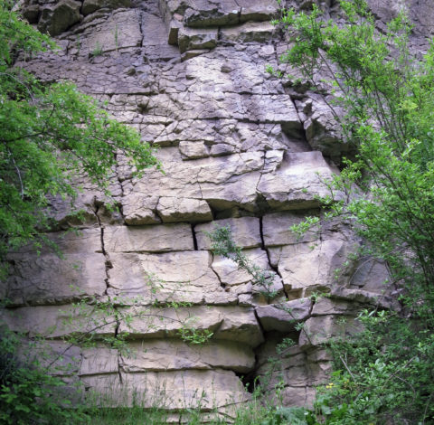 Abandoned Basalt Mine - Ildikó Károlyi